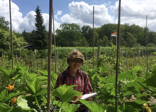 Zomeracademie-Nikki-van-Es.jpeg