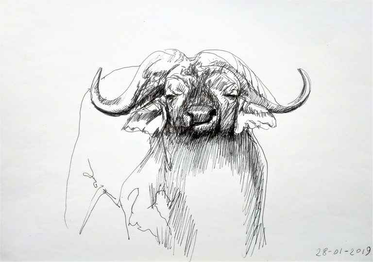 pentekening.jpg