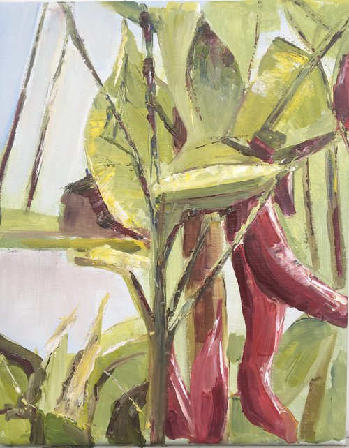 close-up-tuin-1.jpg