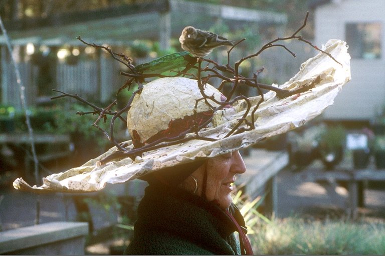 Jan van Boeckel 2026-2027 Lezing afb 1 Birdfeederhat