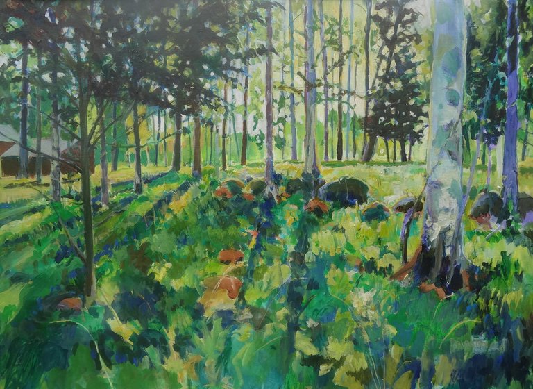 Jan van Boeckel 2026-2027 Sunset above Rombohöjden