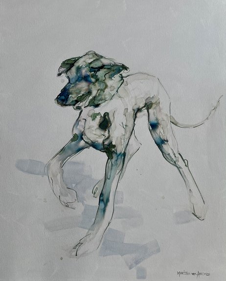 Maritha van Amerom 2026-2027 afb 5