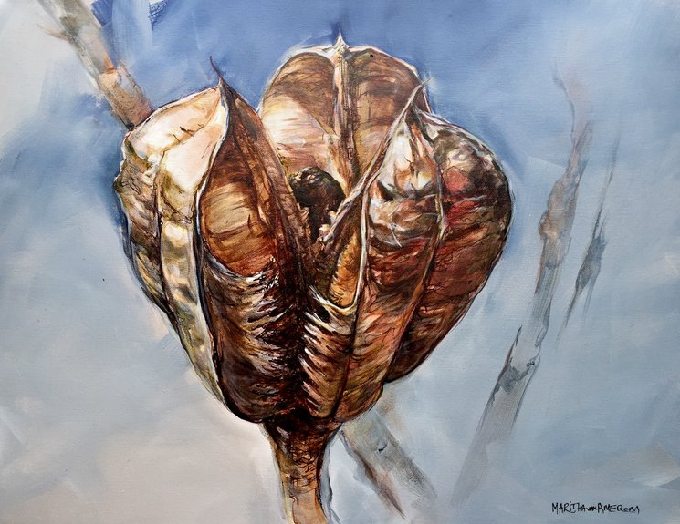 Maritha van Amerom 2026-2027 afb 9