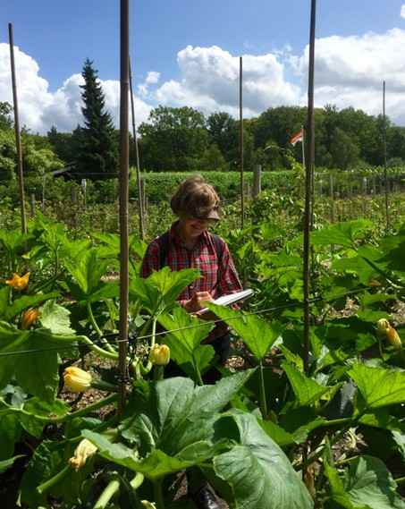Nikki van Es zomercursus 2026