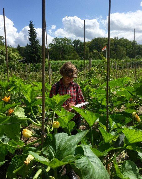 Nikki van Es zomercursus 2026