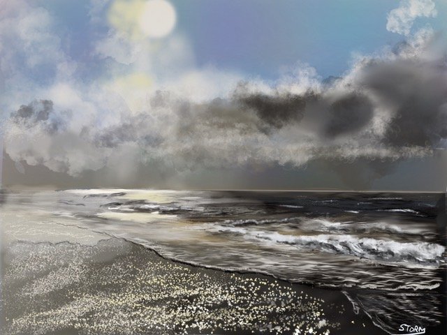 strand_ docent Henk Storm