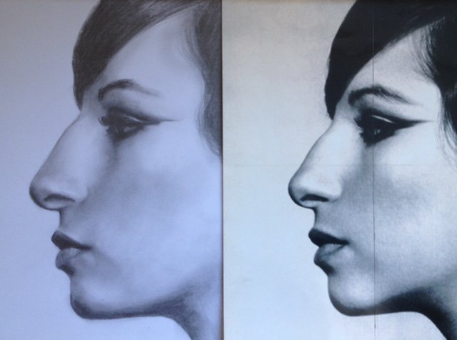 tekenen-realistisch_Iris_Bekkers.jpg
